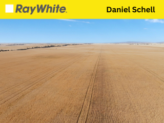 Ray White 1